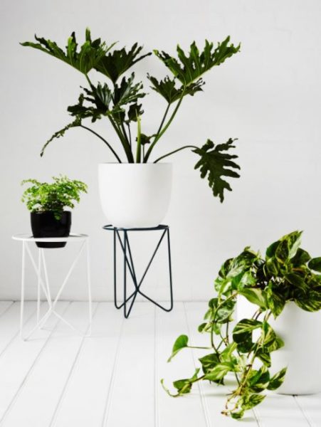plant stands and tables